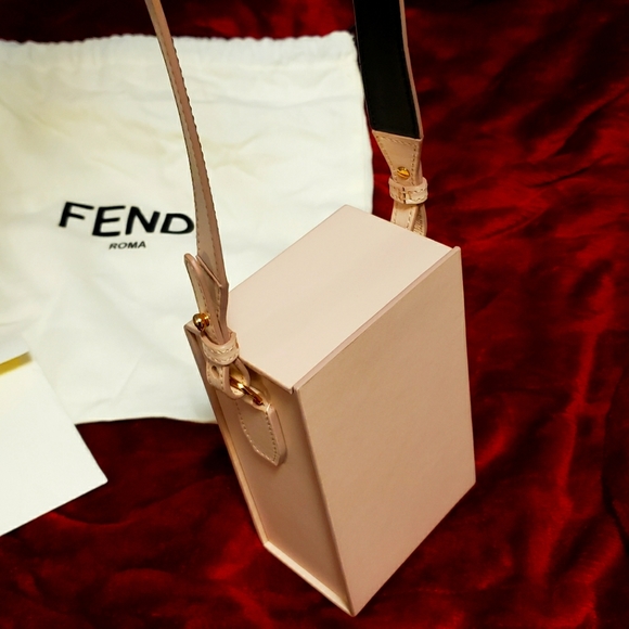 FENDI Bag Runway 2020-2021 Spring collection - vertical leather pink box bag - Picture 6 of 16